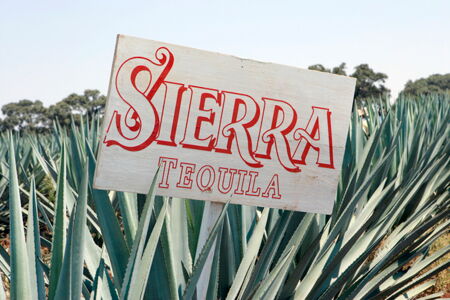 Sierra Milenario und Antiguo feiern mit neuen Margarita-Rezepten